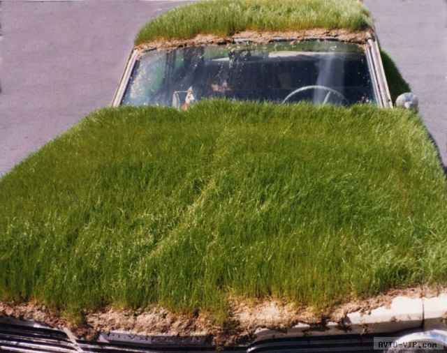 Удивительные автомобили, покрытые травой